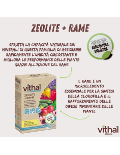 Vithal Bio Zeolite + Rame 1 kg per Piante e Orto 2