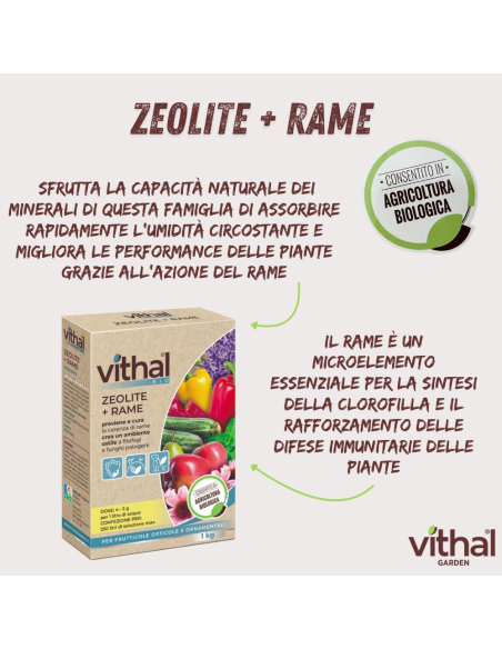 Vithal Bio Zeolite + Rame 1 kg per Piante e Orto