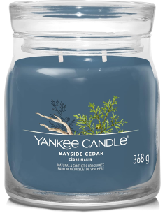 Yankee Candle Bayside Cedar Candela Media 368 g