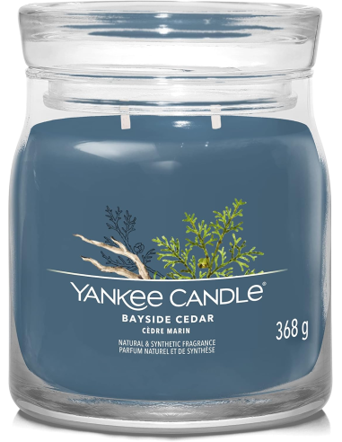 Yankee Candle Bayside Cedar Candela Media 368 g
