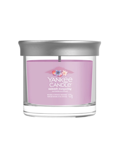 Yankee Candle Summit Stargazing 122 g | Febo Garden