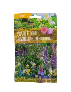 Prato Fiorito Fiori Profumati 4 m² | Febo Garden