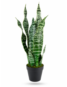 Sanseveria Artificiale 53 cm in Vaso per Arredo Interno