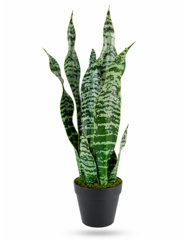 Sanseveria Artificiale 53 cm in Vaso per Arredo Interno
