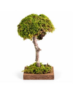 Albero Legno con Muschio Presepe Rossi Rosa 11000 | Febo Garden