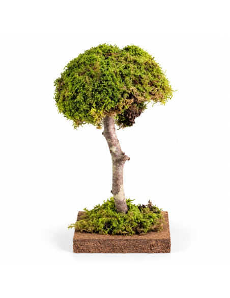Albero Legno con Muschio Presepe Rossi Rosa 11000 | Febo Garden