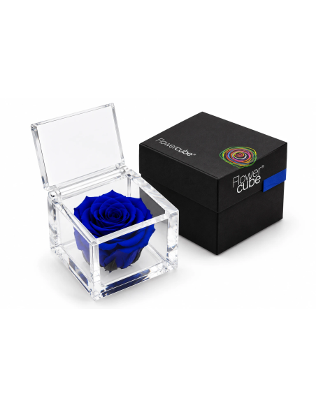 Flowercube Rosa Stabilizzata Blu 8x8 cm | Febo Garden
