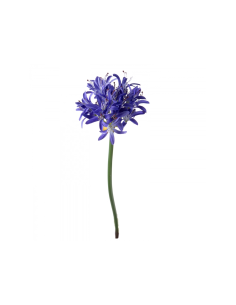 Agapanthus Artificiale 79 cm con Bocci Bianchi Dino AA003