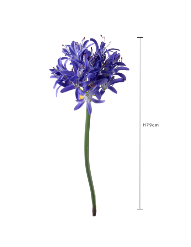 Agapanthus Artificiale 79 cm con Bocci Bianchi Dino AA003