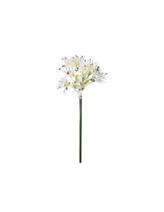 Agapanthus Artificiale Cream con Bocci 79 cm
