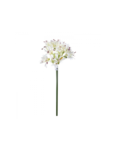 Agapanthus Artificiale Cream con Bocci 79 cm