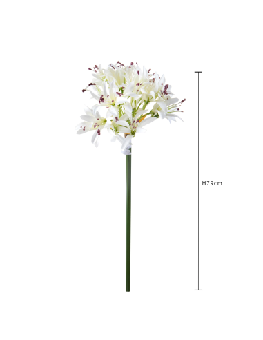 Agapanthus Artificiale Cream con Bocci 79 cm
