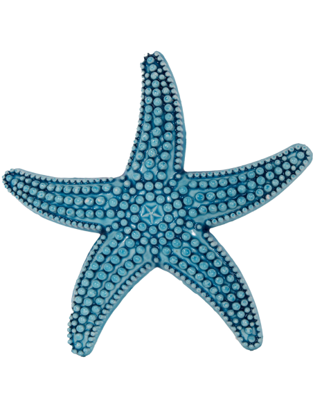 Stella Marina Turchese in Ceramica da Parete | Febo Garden