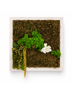 Quadro vegetale con muschio stabilizzato e gardenia | Febo Garden