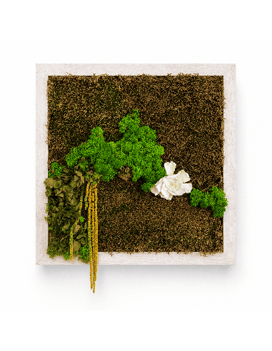 Quadro vegetale con muschio stabilizzato e gardenia | Febo Garden