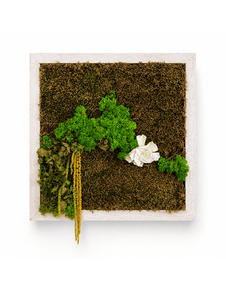 Quadro vegetale con muschio stabilizzato e gardenia | Febo Garden