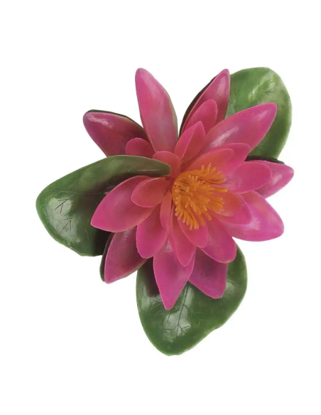 Ninfea Galleggiante Rosa Verdemax | Febo Garden