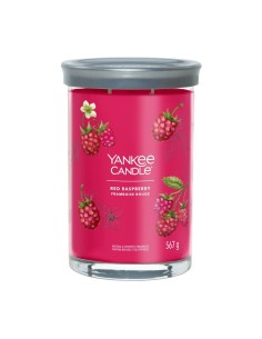 Yankee Candle Red Raspberry Tumbler Grande 567 g