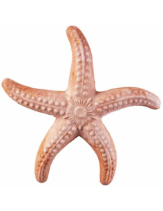 Stella Marina Decorativa Realistica in Terracotta cm 20 Antico Mestiere