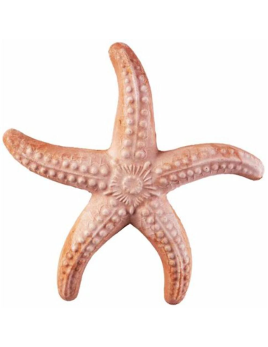 Stella Marina Decorativa Realistica in Terracotta cm 20 Antico Mestiere