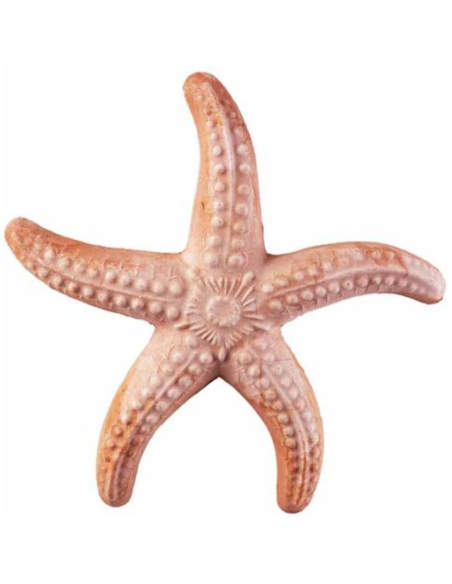 Stella Marina Decorativa Realistica in Terracotta cm 20 Antico Mestiere