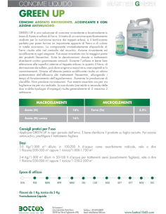 Green Up 1 KG - Concime Rinverdente 2