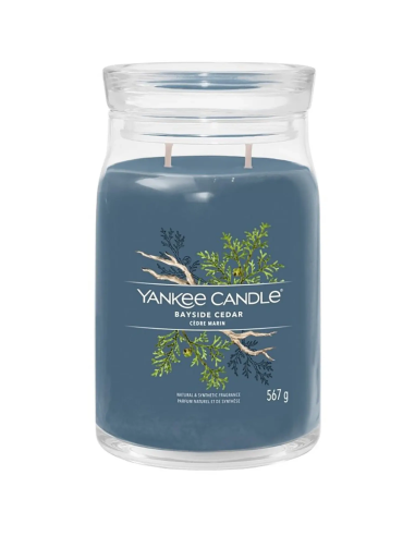 Yankee Candle Bayside Cedar 567 g | Febo Garden