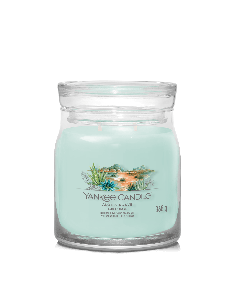 Yankee Candle Aloe & Agave Candela Media 368 g