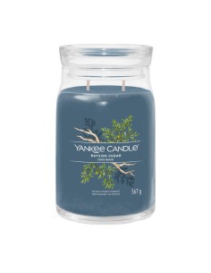 Yankee Candle Signature Bayside Cedar Grande 567 g