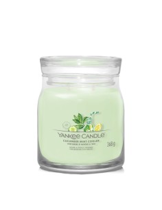 Yankee Candle Signature Cucumber Mint Cooler Media 368 g