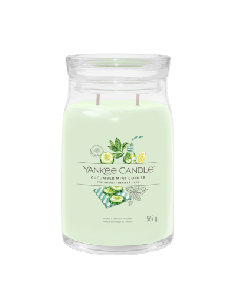 Yankee Candle Cucumber Mint Cooler Candela Grande Tumbler 567 g