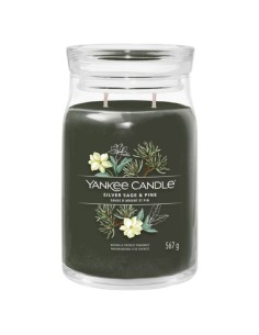 Yankee Candle Silver Sage & Pine 567 g
