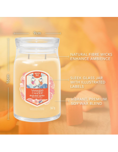 Candela Profumata Yankee Candle SlopeSide Spritz 567g 2 Stoppini Giara Grande 2