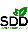 Sementi Dotto