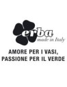 Erba
